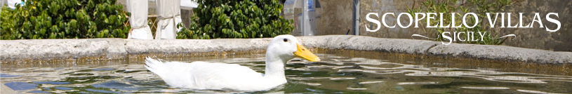 Scopello Villas - Terms and Conditions